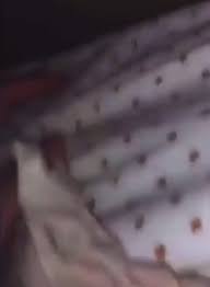 ThisVid