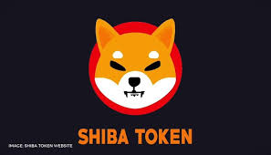 Последние твиты от crypto india news (@cryptoindianews). How To Buy Shiba Inu Coin In India Know More About This New Viral Cryptocurrency