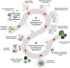 Anda boleh menjejaki kadar semasa yang tepat dan melaksanakan operasi pertukaran dalam. Frontiers Bioengineering Of Microalgae Recent Advances Perspectives And Regulatory Challenges For Industrial Application Bioengineering And Biotechnology