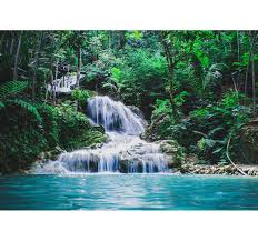 We did not find results for: Escape To A Tropical Rainforest Tree Wall Mural Tenstickers