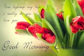 Good Morning Images For Facebook Good Morning Beautiful Flowers Good Morning Images Good Morning Rose Images