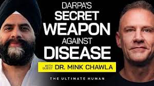 Dr. Mink Chawla: Why Your DNA is 40% VIRUS and What it Means for Your  Health!