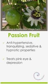 Some Health Benefits Of Passion Fruit Passionfruit Medicinal Jamaica Medicinal Plants Passion Fruit Tea Herbs