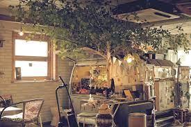 hoho myoll cafe seoul cafe korea cafe korean cafe