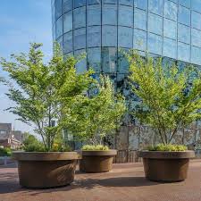 If you love the outdoors, or a tropical getaway, but can't manage to make it camping or to the beach, then large attractive large indoor plant pot is ideal for spacious interiors, where large plants are perfect. 310 Plant Pots Ideas In 2021 Plants Planters Potted Plants