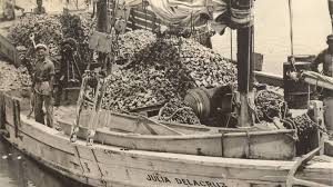 See more of herald sun on facebook. Timeline Sun Herald Newspaper Coverage From 1884 To 2020 Biloxi Sun Herald