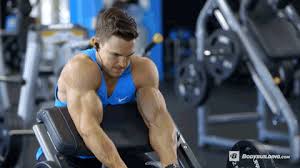 Nos équipes de conception ont conçu pour vous cette barre de musculation d'une solidité à toute épreuve. Curl Pupitre Exercice De Musculation Des Biceps