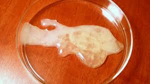 Alleskonner Korpersaft Sperma Als Falten Killer Kot Als Fleischersatz News De