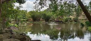 The lake recreational centre is where you can do water activities such as canoeing, paddle boat, electric boat. Putrajaya Wetlands Park 2021 All You Need To Know Before You Go With Photos Putrajaya Malaysia Tripadvisor