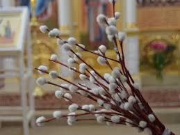 Вербное воскресенье не является исключением, поэтому в наступившем году оно будет праздноваться 1 апреля. Pravoslavnye Prazdnuyut Verbnoe Voskresene Istoriya Prazdnika Primety I Tradicii Mk Krasnoyarsk