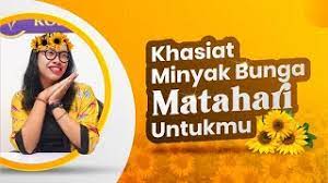 Bunga matahari adalah bunga cantik berwarna kuning cerah yang tinggi batangnya dapat. Minyak Bunga Matahari Khasiatnya Untukmu Essential Oil Rosevara Youtube