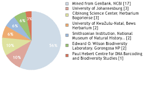 Image result for Kohautia caespitosa