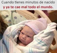 Pin By Leo Ochoa On Yo Y Mi Amore Funny Baby Memes Funny Baby Pictures Funny Babies