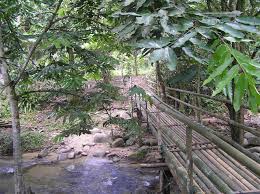 Check spelling or type a new query. Sungai Congkak Kem Wirajaya Forest Resort Hulu Langat Selangor