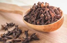 ★ लौंग घिसकर अंजन करने से बेहोशी दूर होती है।. 7 Tremendous Benefits Of Chewing Two Cloves On An Empty Stomach In The à¤¸ à¤¬à¤¹ à¤– à¤² à¤ª à¤Ÿ à¤¦ à¤² à¤— à¤šà¤¬ à¤¨ à¤• 7 à¤œà¤¬à¤°à¤¦à¤¸ à¤¤ à¤« à¤¯à¤¦ Patrika News