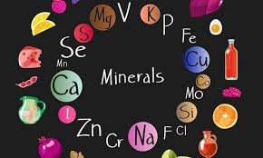manfaat mineral dan trace minerals dalam tubuh