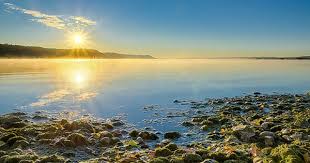 Mossy Beach Panorama Beach Pictures Panorama Sunrise Sunset