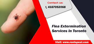 However, the challenge for your company is to help prospects understand the scope of the pest problem, and the following is an overview of some of the best strategies, insights, and tips to help you find new pest control customers. Pin On Flea Control Services