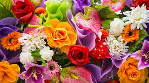 Différents types de fleurs fond d écran. Free Photo Colorful Flower Artistic Beautiful Blooming Free Download Jooinn
