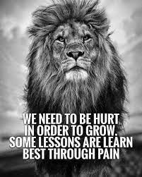 247 Motivational Inspirational Quotes 26 Warrior Quotes Lion Quotes Short Inspirational Quotes