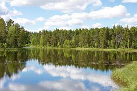 Nature, landscape, summer, river, trees, grass, clouds. Nature Wallpaper Lake Landscape Forest River Landscape Lake Sweden Pikist
