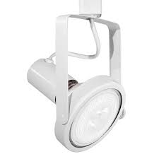 Par38 White Gimbal Ring Track Light Fixture Head