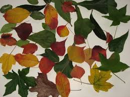 We would like to show you a description here but the site won't allow us. Arte Com Folhas Secas De Outono Colagem Divertida Com Folhas Secas