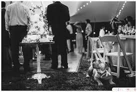 Find the specific breed and keep the cake décor simple so that this precious details shows best. Documentary Wedding Photography 7 Reasons Why This Is What You Really Want Hazel Photo Weddings