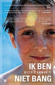 Pin Op Internationale Literatuur