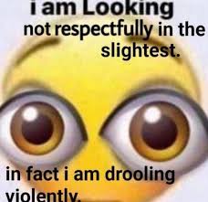 Where is the lie? : rMemeVideos