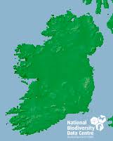 Image result for didymascella thujina