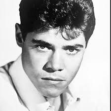 Watch Bonanza (1959) TV Series Free Online