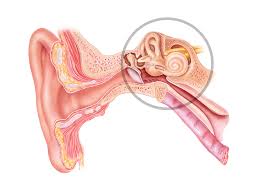 Doença de Ménière | eauriz