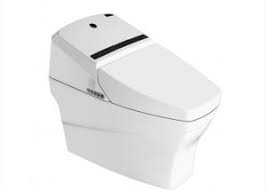 Products Floor Mounted Toilets Smart Toilet Toilet Flooring