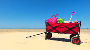 Choosing The Best Beach Wagon For Toddlers Seaside Planet