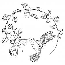 Cuando se haya ampliado dibujos con circulos y cuadrados utilice las opciones de su navegador para guardar o imrimir. Colibri Bebiendo Nectar De Una Flor Un Colibri Volador Inscrito En Un Circulo De Flores Vector Premium