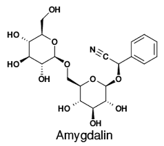 Abrikozenpitten giftig?#amygdaline #cyanide 't is de dosis die telt. Vitamin B 17 Amygdalin Injection Vitamin B 17 Therapy