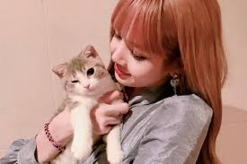 Hebatnya lagi, black pink pun mengusung konsep yang wah, kalau kaya gini namanya sih black pink rasa 2ne1. Profil Lisa Maknae Blackpink Yang Setia Berponi