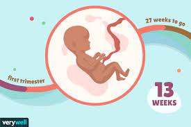 13 Weeks Pregnant Baby Development Symptoms And More