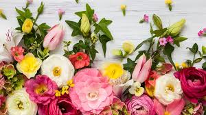 See more ideas about życzenie, życzenia urodzinowe, cytaty urodzinowe. Imieniny Magdaleny 22 07 Zyczenia Na Imieniny Magdy W Lipcu Wierszyki I Zyczenia Sms Radio Zet