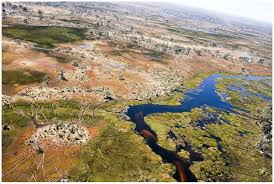 We did not find results for: An Okavango Delta Safari Botswana Africa S Greatest Wilderness