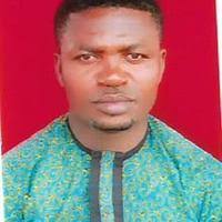 PDF) Mental Illness and the Panacea of Orthodox Medicine Patronage Among  Ibibio People of Southern Nigeria