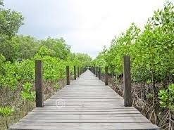 Aaron Sebring Obituary