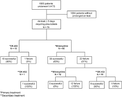 Flow Chart Representation Of Patient Selection Treatment