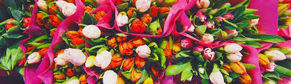 About boise lowe's 7990 west overland rd. Floral Workshops On Our Urban Flower Farm In Boise Idaho Dream Farm Flowers