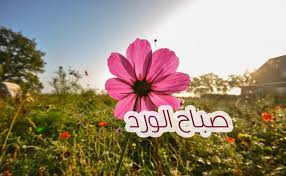 Youssef nady صباح الورد والياسمين. Ø¹Ø¨Ø§Ø±Ø§Øª ÙˆØµÙˆØ± ØµØ¨Ø§Ø­ Ø§Ù„Ø®ÙŠØ± ØµØ¨Ø§Ø­ Ø§Ù„ÙˆØ±Ø¯ ÙˆØ§Ù„ÙŠØ§Ø³Ù…ÙŠÙ† ØµØ¨Ø§Ø­ Ø§Ù„ÙÙ„