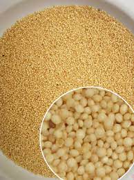 Amaranto Un Cereal Hiperproteico