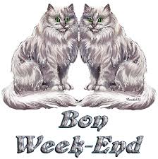 RÃ©sultat de recherche d'images pour "gif anime bon weekend chaton"