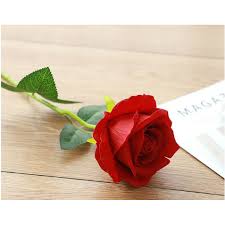 Bagi anda pecinta tanaman dan florist pasti sudah kenal dengan nama bunga mawar. Bunga Mawar Tangkai Artificial Shopee Indonesia