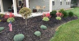 Backyard Nursery Tools Of The Trade Things To Turn You Into A Successful Grower Mike S Backyar Simple Landscape Design Ground Cover Plants Landscape Design